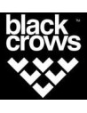 Black Crows 